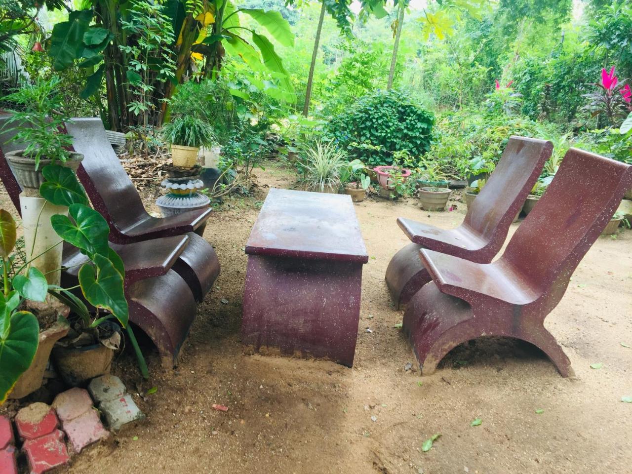 Malee Homestay Polonnaruwa Exteriér fotografie